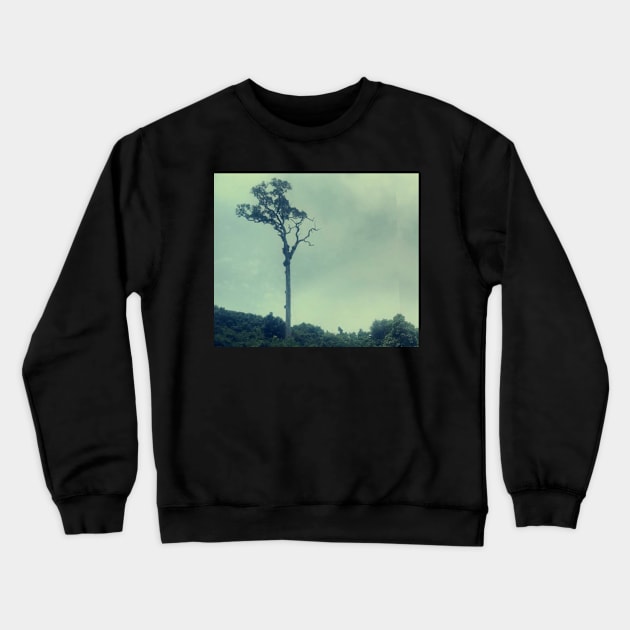 Malaysia landmarks tree Crewneck Sweatshirt by daghlashassan